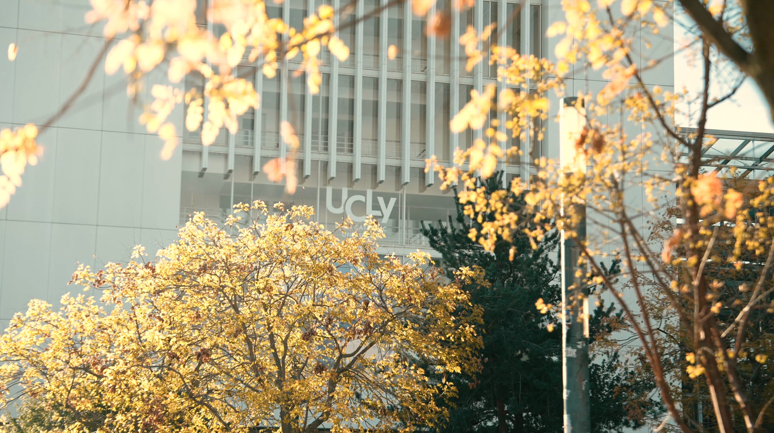 Run in Spirit UCLy 2026 – arrivée